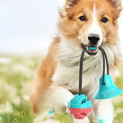 Jouet pour chien || ventouse molaire™ avec son