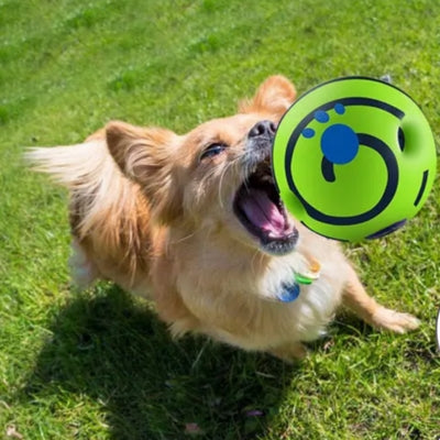 jouet-pour-chien-balle-de-jeu