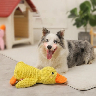 jouet-pour-chien-canard-pouet-pouet