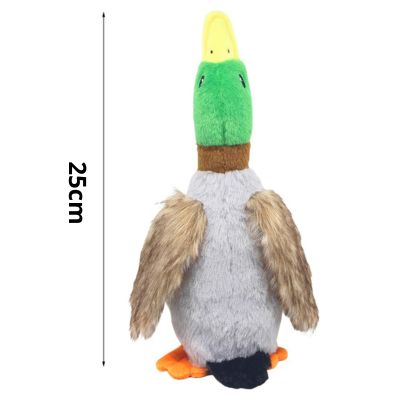 jouet-pour-chien-canardo-grandeur