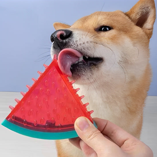 jouet-pour-chien-pastèque