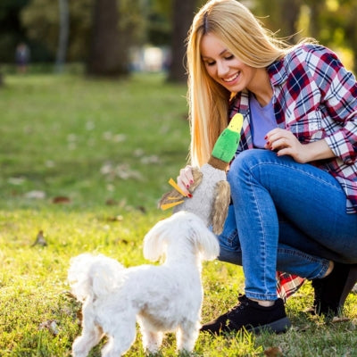 jouet-pour-chien-peluche-en-canard