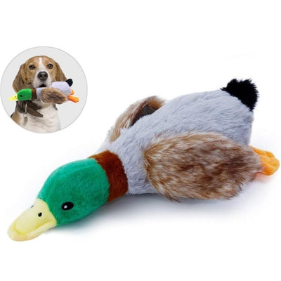 jouet-pour-chien-solution-ludique