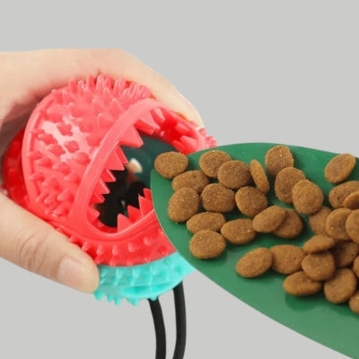 Jouet pour chien || ventouse molaire™ avec son