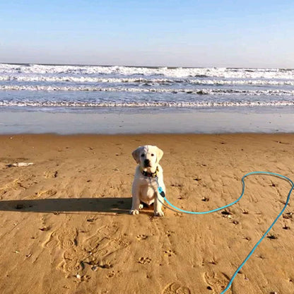 laisse-corde-pour-chien-sécurisée