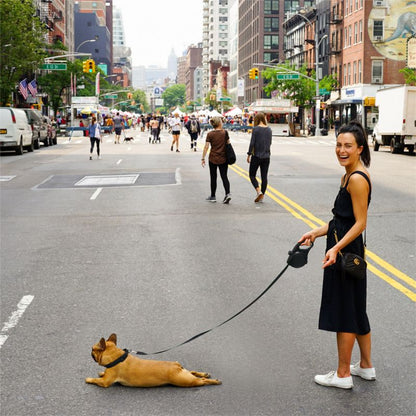 laisse-enrouleur-avec-reservoir-laisse-pour-chien