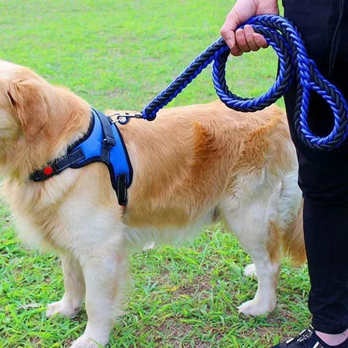 laisse-pour-chien-bleu-noir-nylon