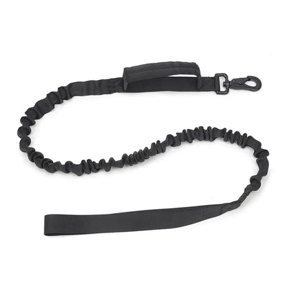 laisse-pour-chien-noire