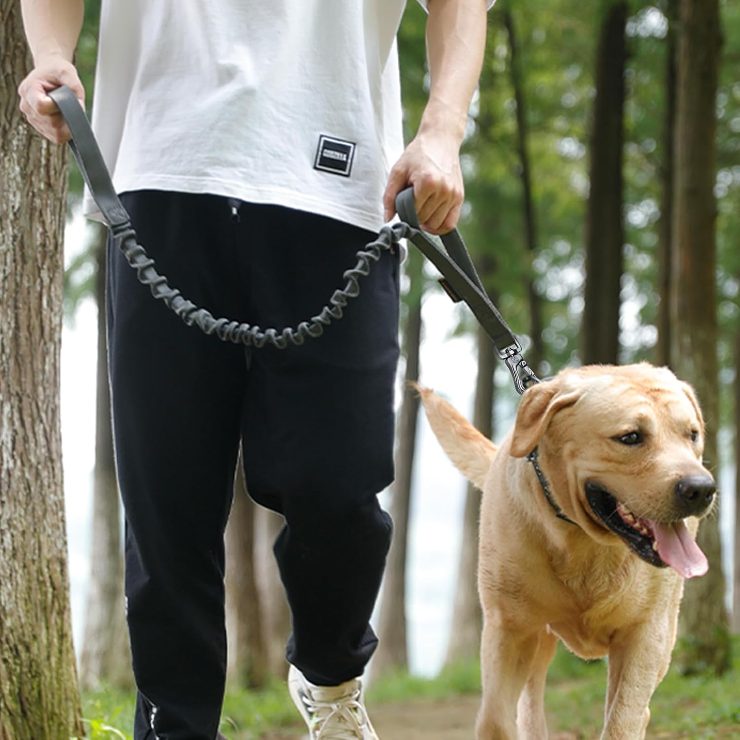 laisse-pour-chien-promenade-securitaire
