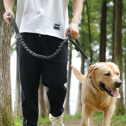 laisse-pour-chien-promenade-securitaire