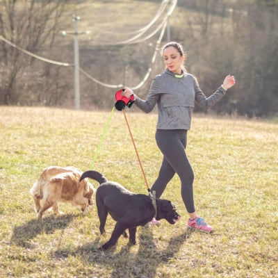 laisse-pour-chien-sans-enchevetrement