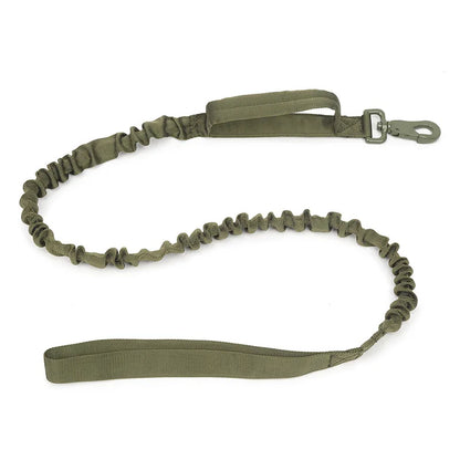 laisse-pour-chien-vert