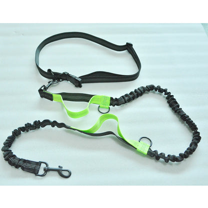 laisse-pour-chien-verte