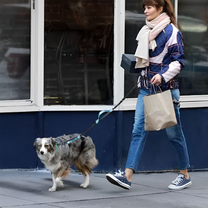 laisses-pour-chien-durable