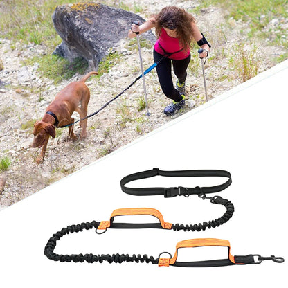 laisses-pour-chien-pour-le-sport