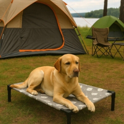 lit-de-camp-chien-voyage