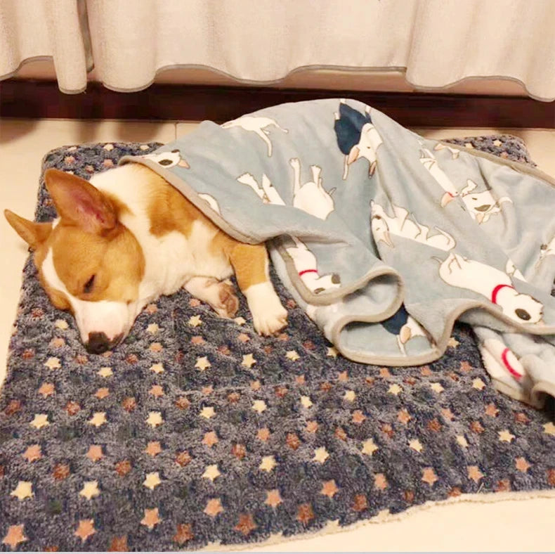 lit-pour-chien-en-voyage