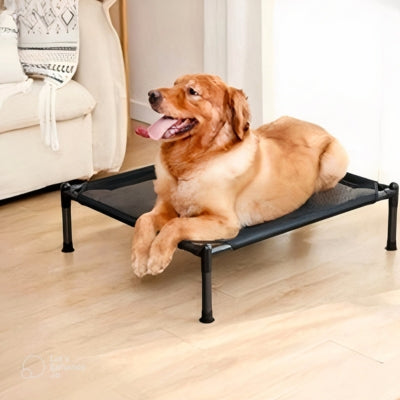 lit-pour-chien-sureleve-anti-humidite