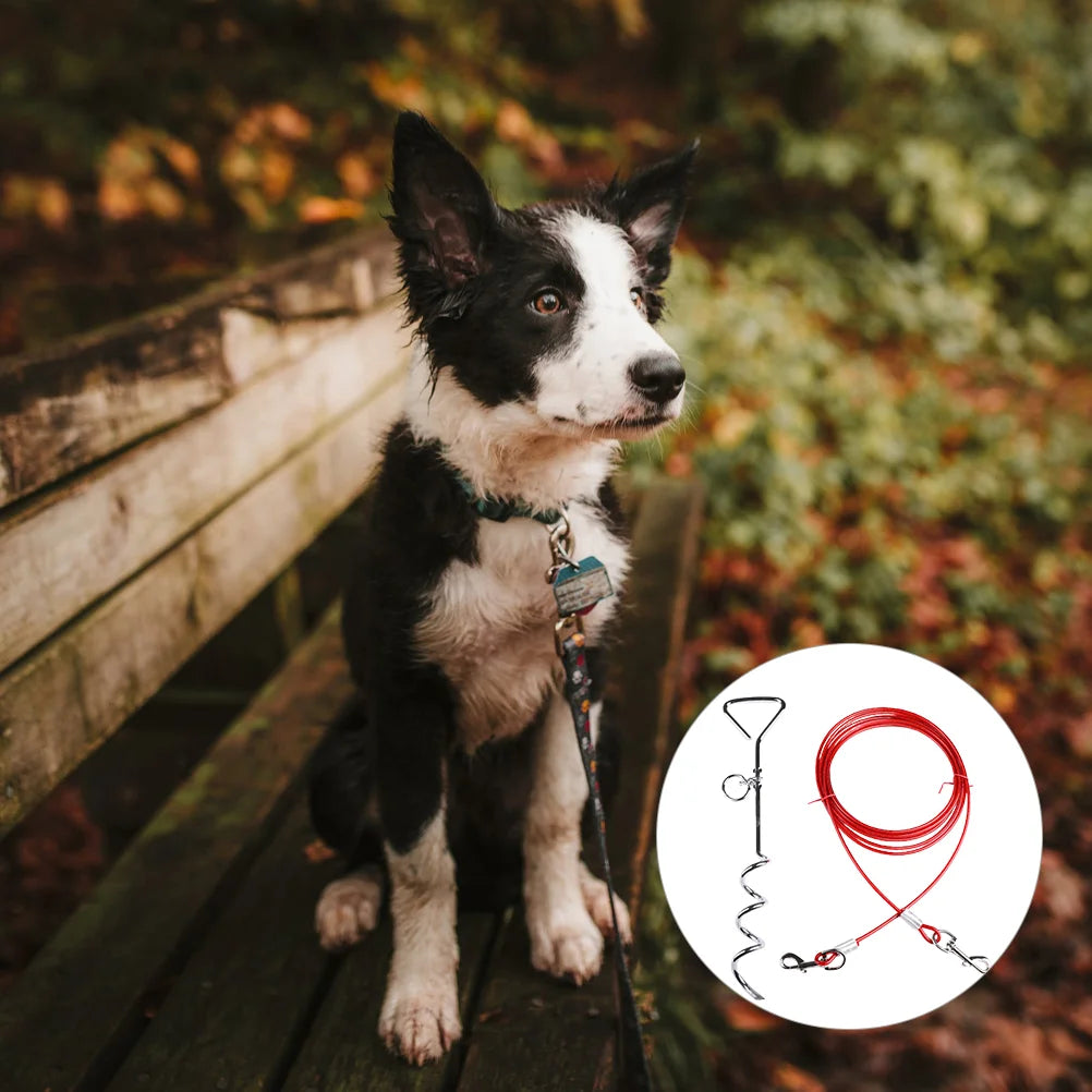 longe-chien-sécurité-maximale