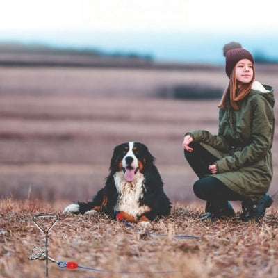 longe-pour-chien-pour-besoin