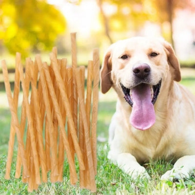 lot-20-batonnets-pour-chien