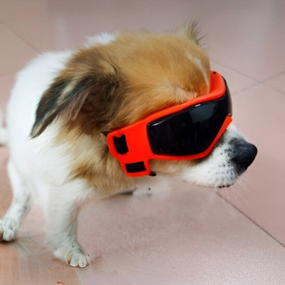 lunette-pour-chien-UV-orange