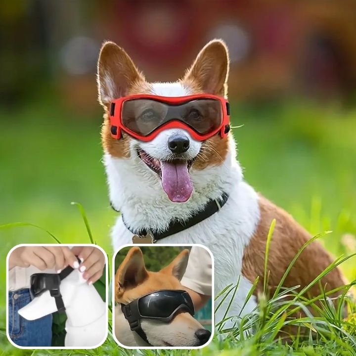 lunette-pour-chien-orange-UV