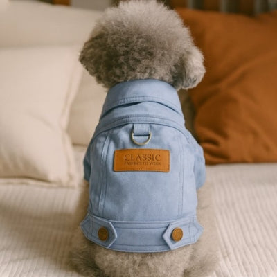 manteau-chien-jean-tendance