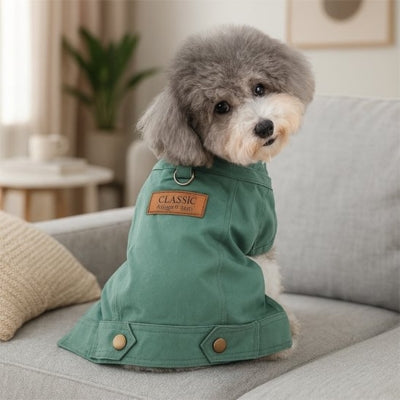 manteau-chien-protection-froid