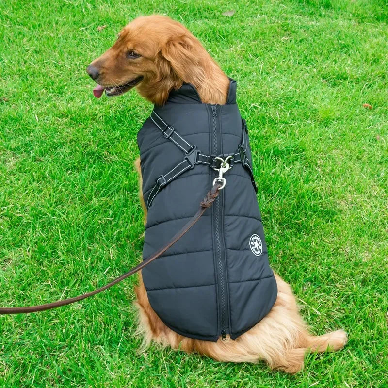manteau-chien-thermique-chaud