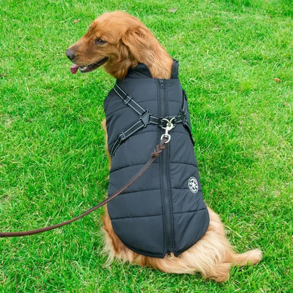 manteau-chien-thermique-chaud