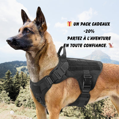 Pack Harnais pour Chien EliteTrek – Confort, Sécurité et Contrôle Anti-Traction