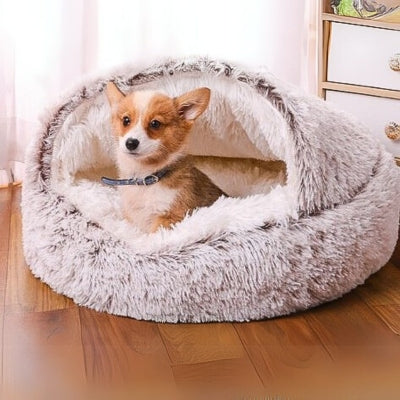 panier-pour-chien-petit