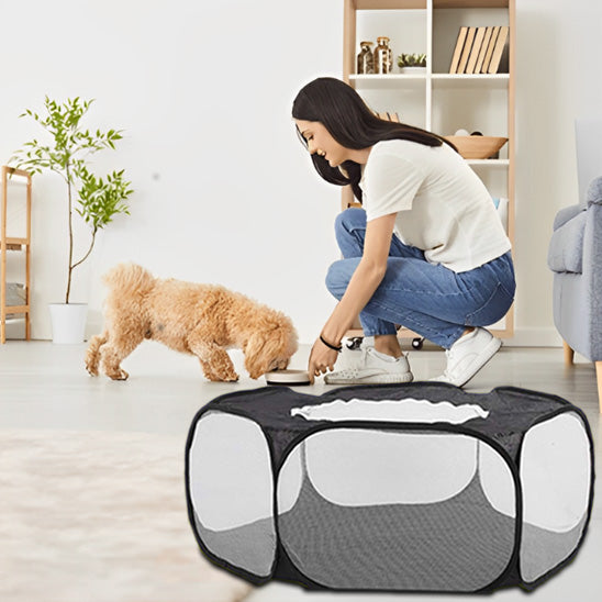 parc-pour-chien-convalescence