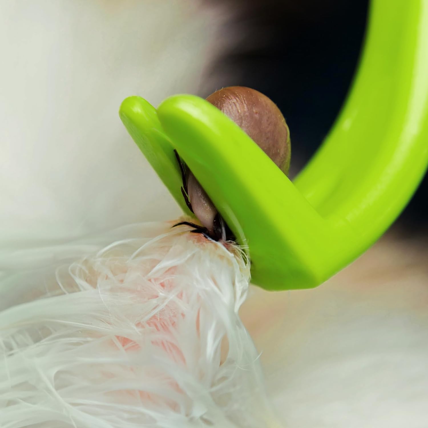 pince-a-tique-pour-la-randonnee