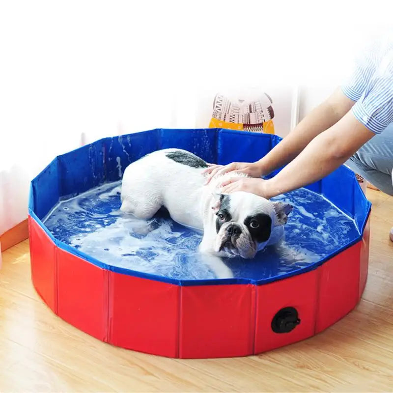 piscine-pour-chien-rouge-60x20