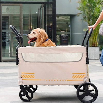 Poussette pour chien grande taille – Chariot robuste 80 kg