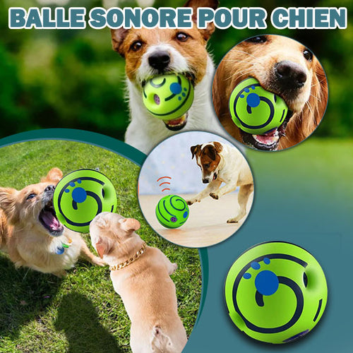 jouet-pour-chien-balle-sonore