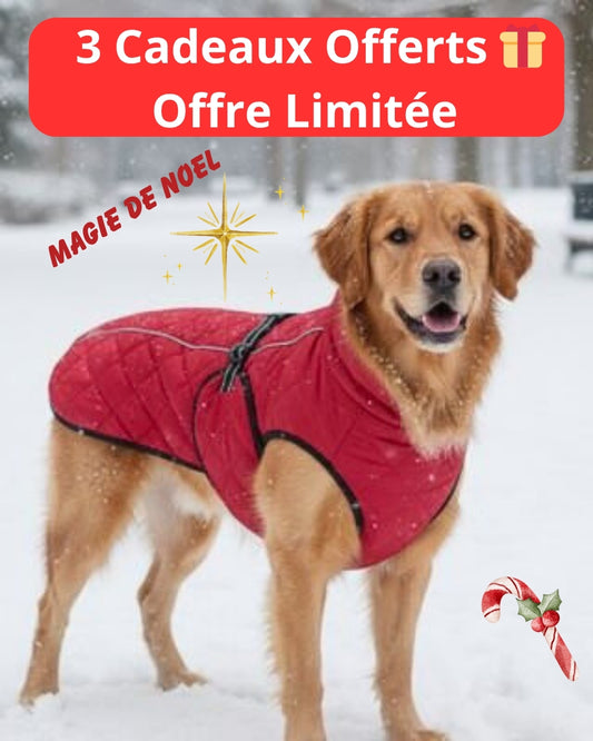 Manteau pour Chien | Imperméable Confort