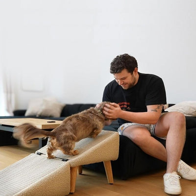 rampe-pour-chien-canape