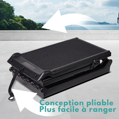 rampe-pour-chien-conception-pliable