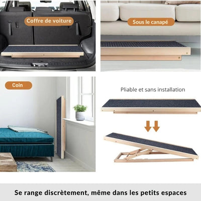 rampe-pour-chien-discret