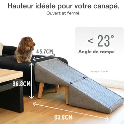 Rampe pour chien âgé – Coussin transformable pour canapé