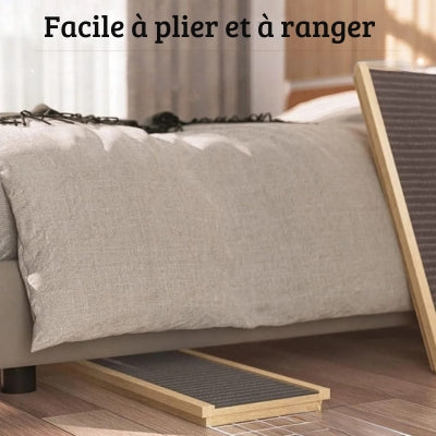 rampe-pour-chien-facile-a-ranger