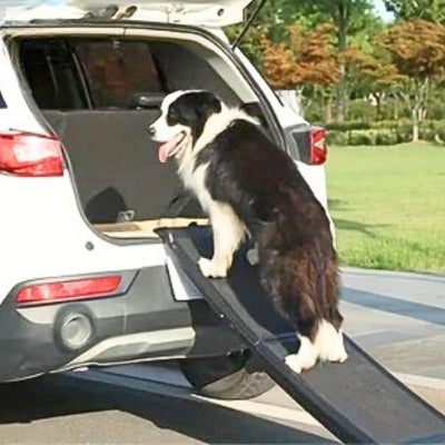 rampe-pour-chien-pour-gros-chien