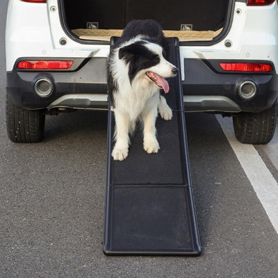 rampe-pour-chien-pour-tout-vehicule