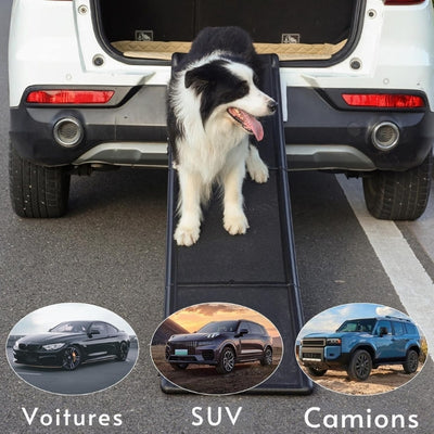 rampe-pour-chien-pour-vehicule-universel