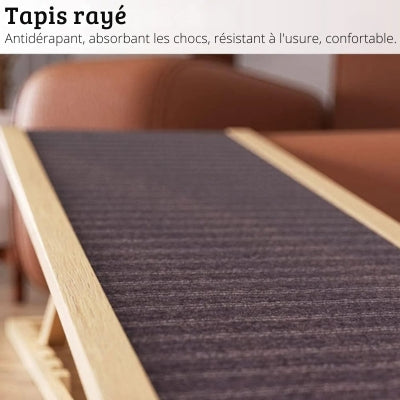 rampe-pour-petit-chien-antiderapant