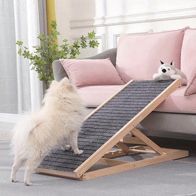 rampe-pour-petit-chien-discret