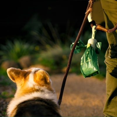 sac-a-crotte-pratique-solide